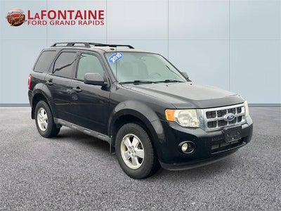 2010 Ford Escape XLT