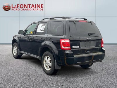 2010 Ford Escape XLT