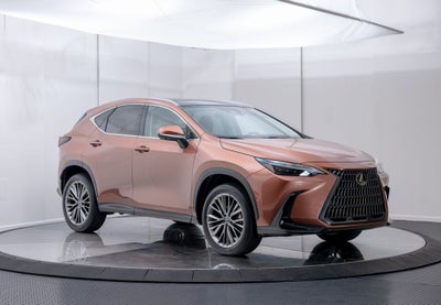2025 Lexus NX 350h Luxury