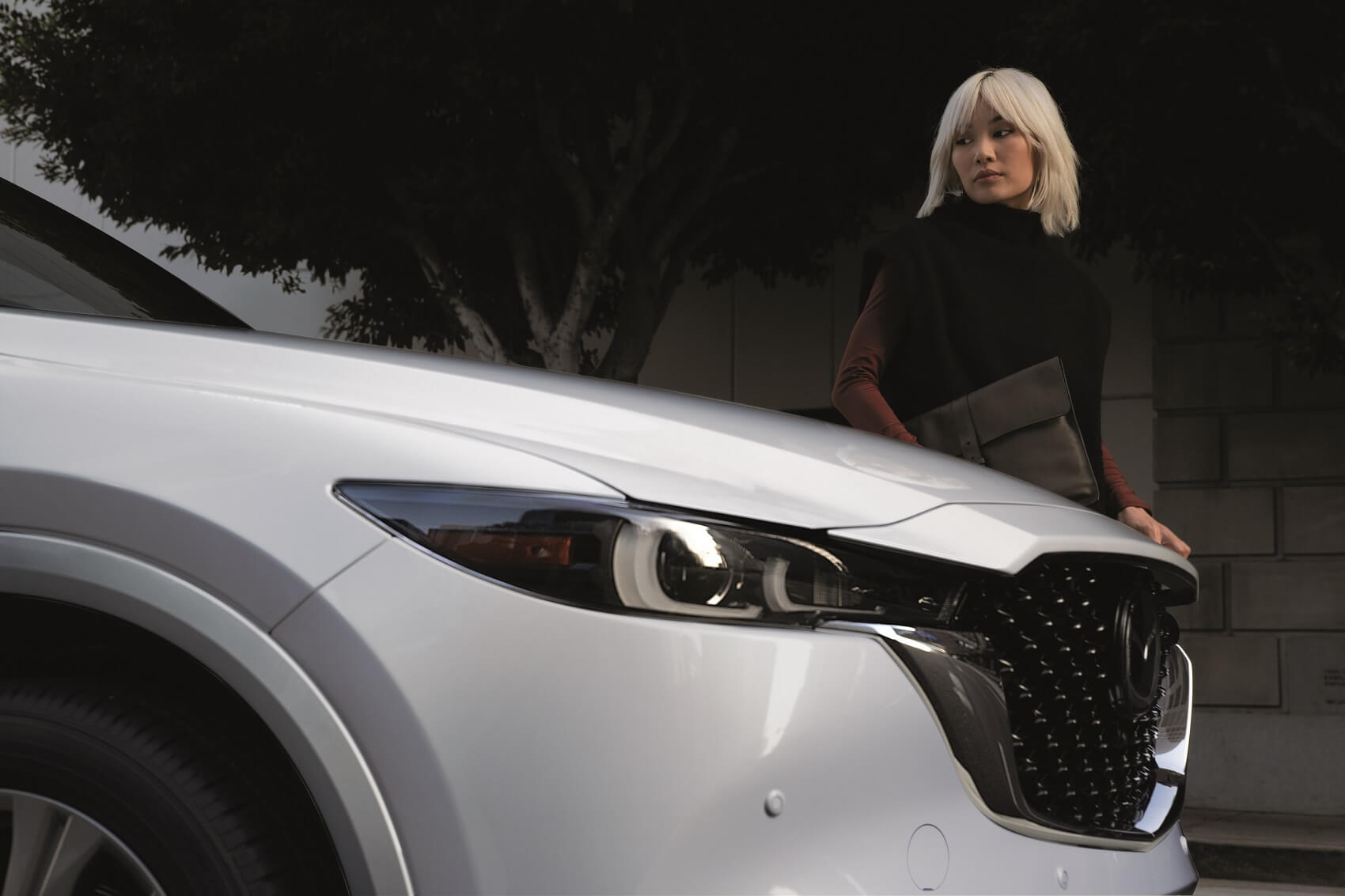 Used Car Dealer Near Me